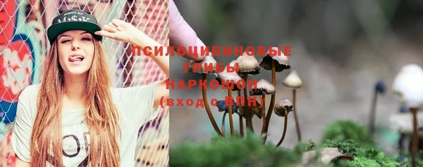 ПСИЛОЦИБИНОВЫЕ ГРИБЫ Осинники