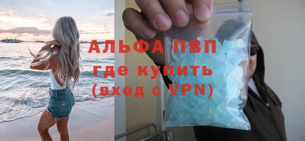 ПСИЛОЦИБИНОВЫЕ ГРИБЫ Осинники