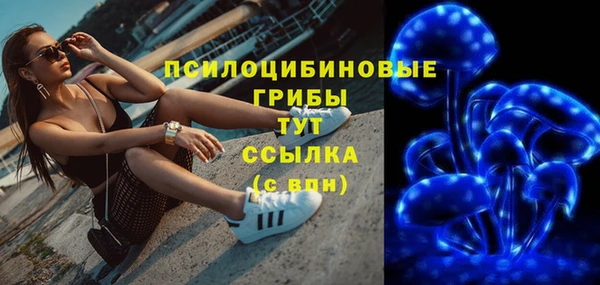 ПСИЛОЦИБИНОВЫЕ ГРИБЫ Осинники