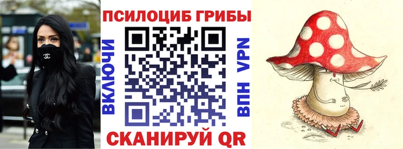 Галлюциногенные грибы Cubensis  Мурино 