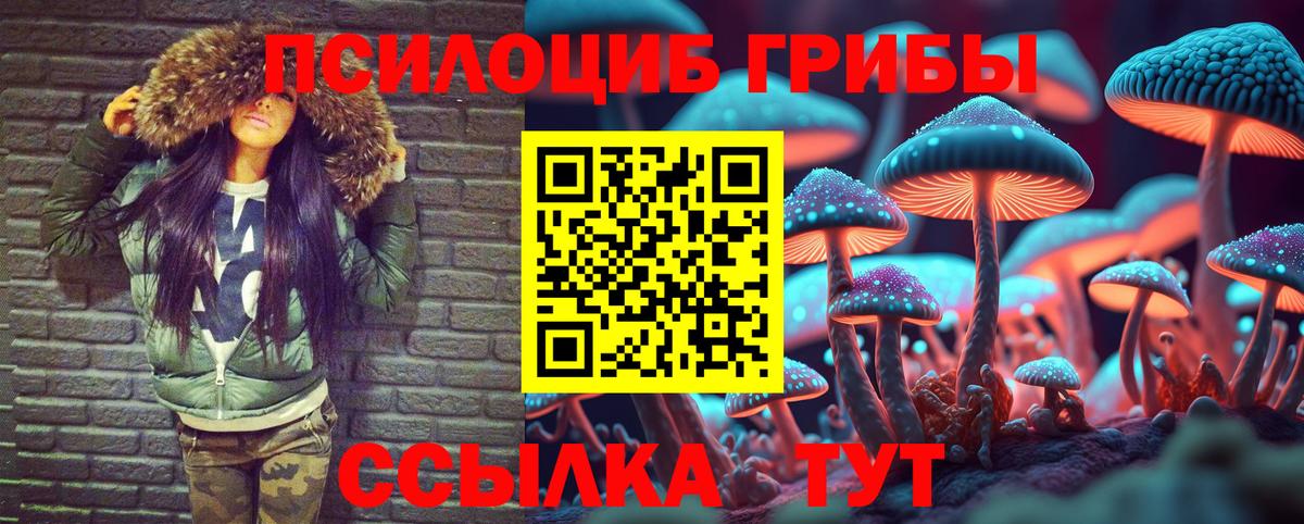 Галлюциногенные грибы MAGIC MUSHROOMS Мурино