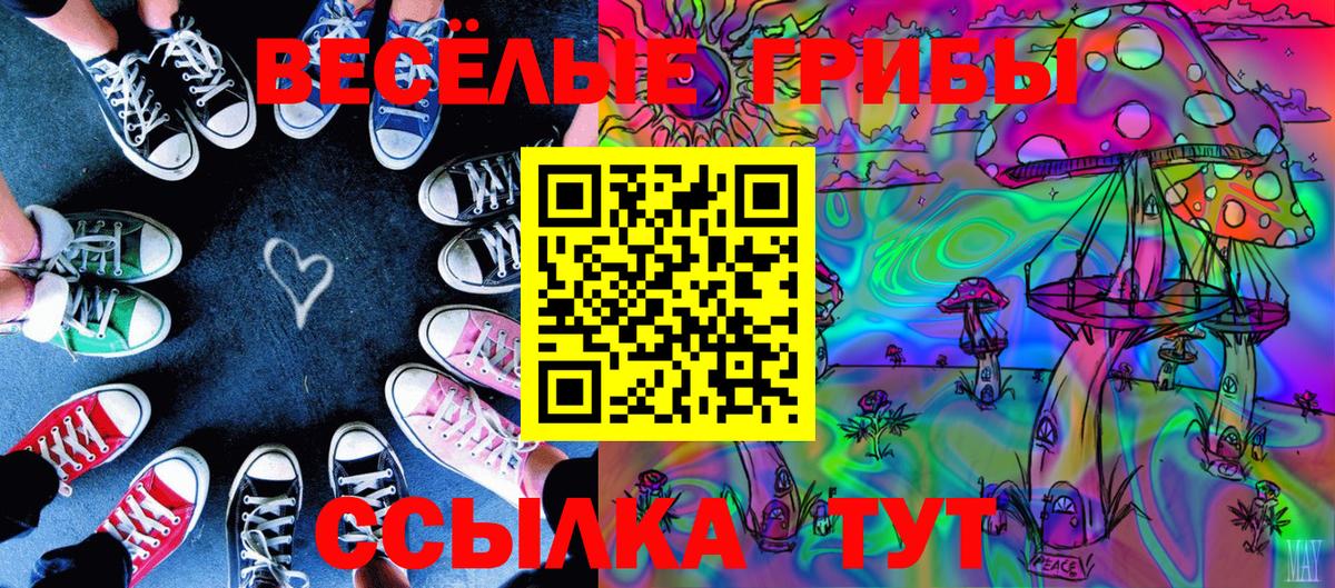 Галлюциногенные грибы GOLDEN TEACHER  Вход с VPN  Мурино 