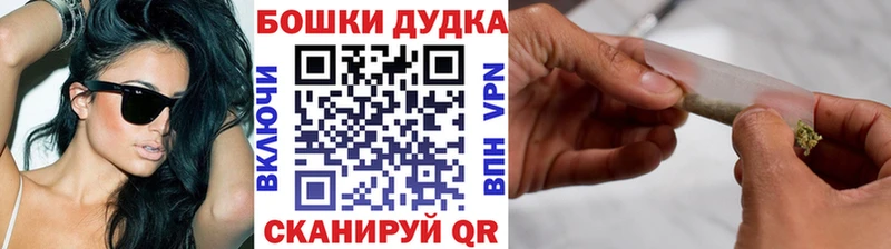 Бошки Шишки ГИДРОПОН  Мурино 